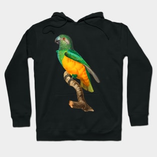 Black Panther Art - Beautiful Parrot 7 Hoodie